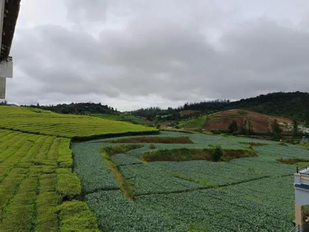 Tea Garden Stays